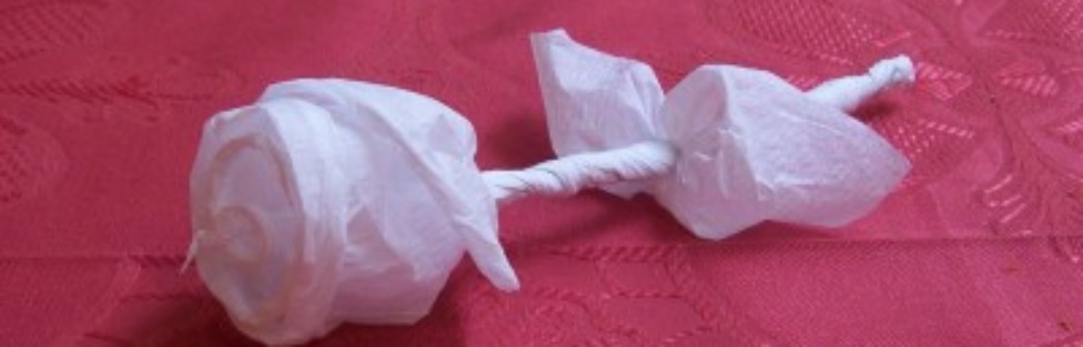 Simple Napkin Flower Tutorial for a nightclub/bar memorable seduction